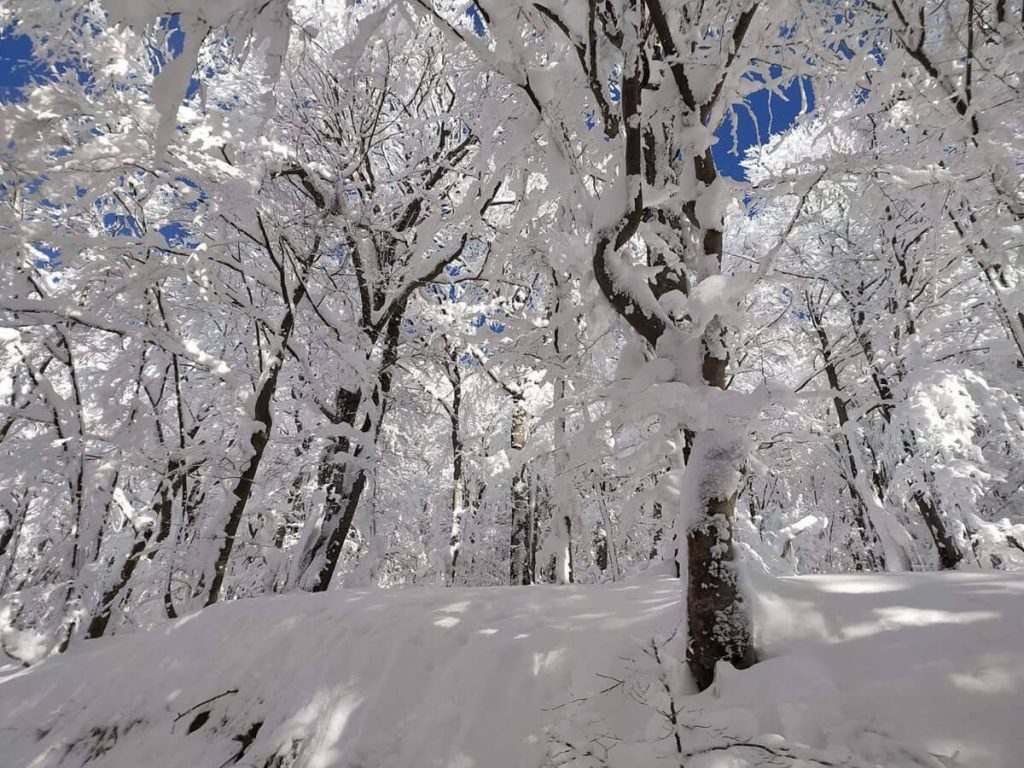 Bieszczady bukowina bieszczady 02 1024x768