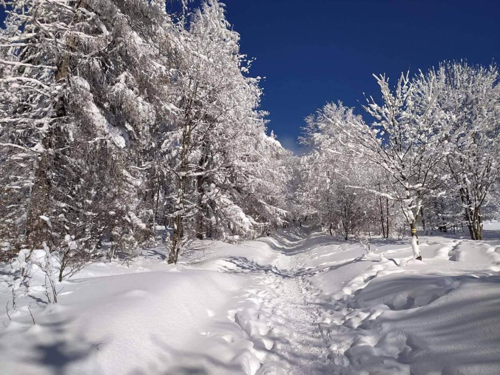 Bieszczady bukowina bieszczady 03 1024x768