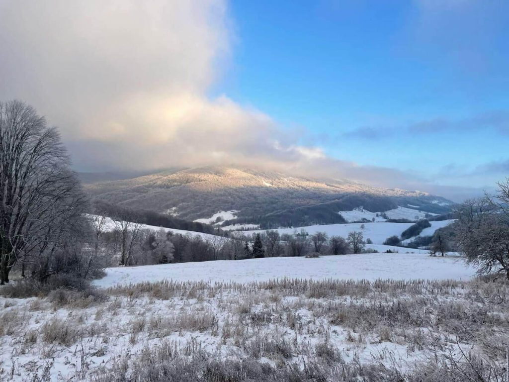 Bieszczady bukowina bieszczady 04 1024x768