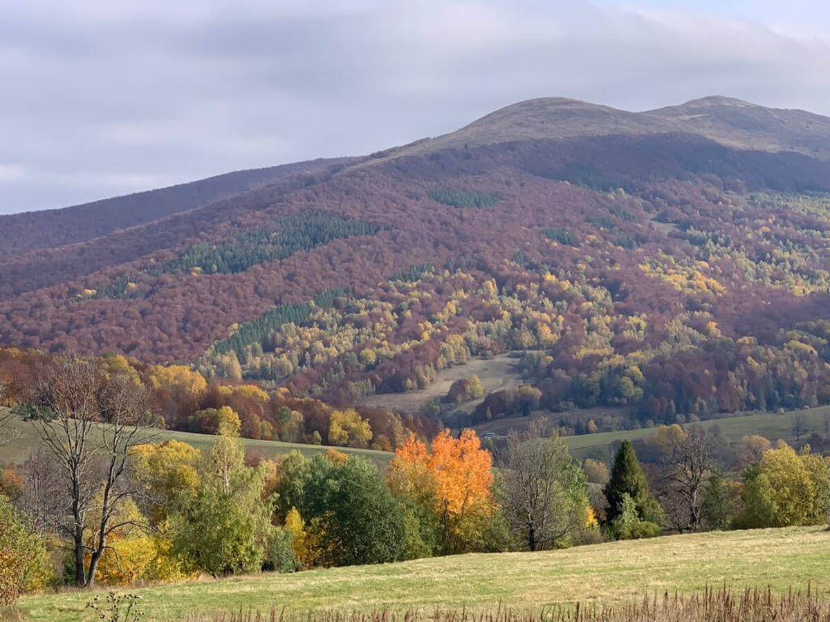 Bieszczady bukowina bieszczady 1
