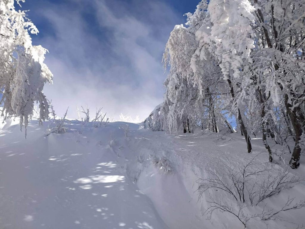 Bieszczady bukowina bieszczady 8 1024x768
