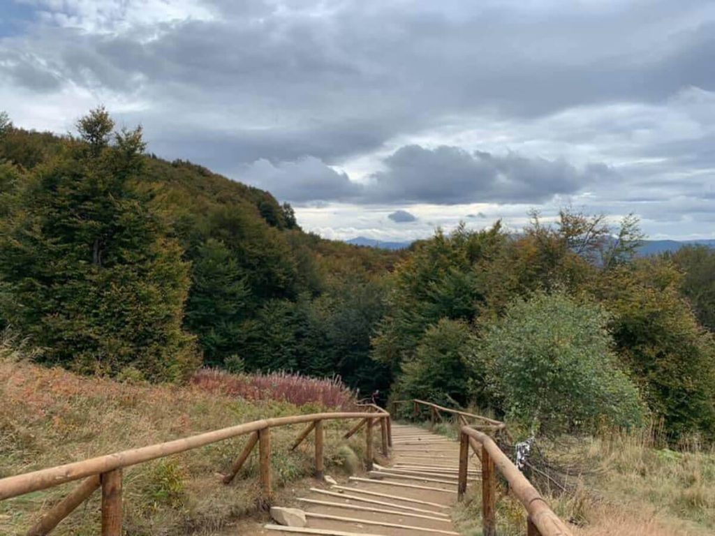 Bieszczady bukowina bieszczady 9 1024x768